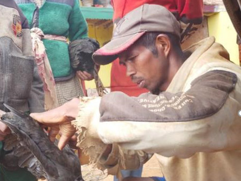 Système d'irrigation